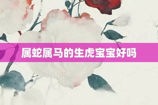 属蛇属马的生虎宝宝好吗