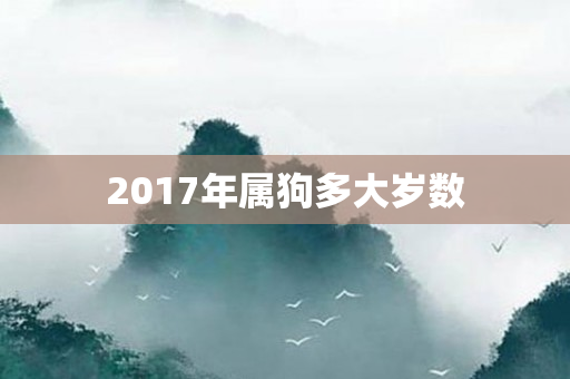 2017年属狗多大岁数