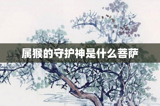 属猴的守护神是什么菩萨