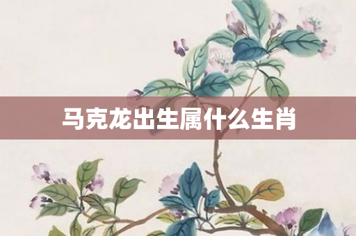 马克龙出生属什么生肖