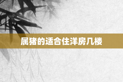 属猪的适合住洋房几楼