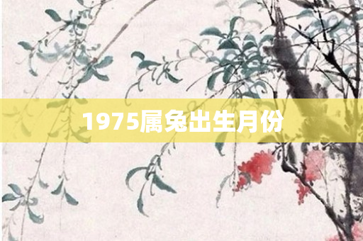 1975属兔出生月份