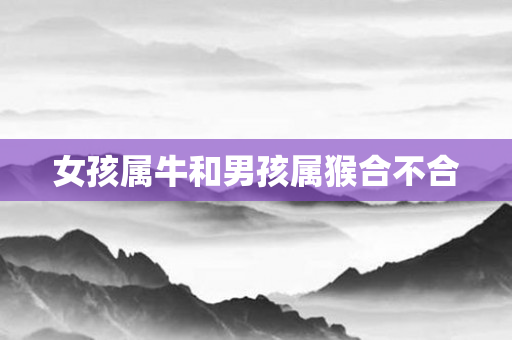女孩属牛和男孩属猴合不合