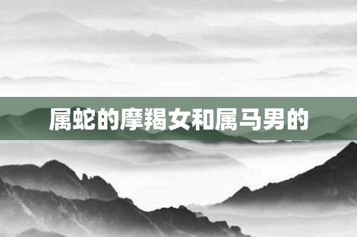 属蛇的摩羯女和属马男的