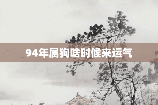 94年属狗啥时候来运气
