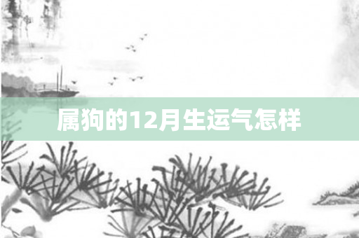 属狗的12月生运气怎样