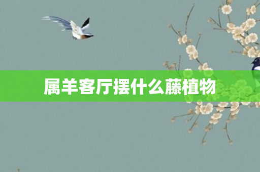 属羊客厅摆什么藤植物