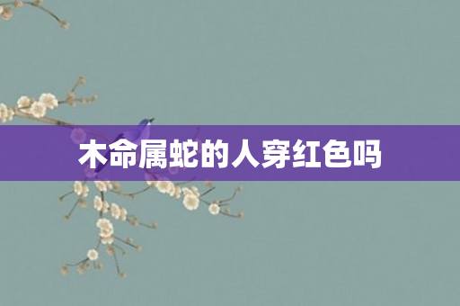 木命属蛇的人穿红色吗