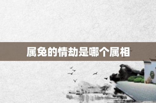 属兔的情劫是哪个属相