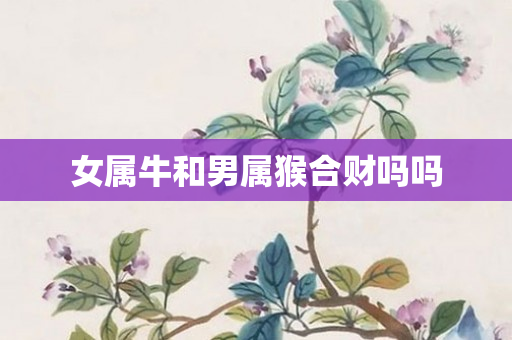 女属牛和男属猴合财吗吗