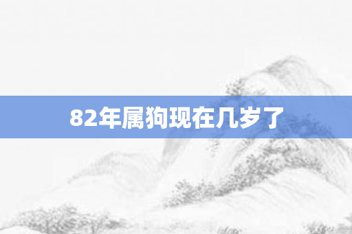82年属狗现在几岁了
