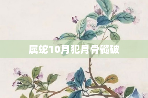 属蛇10月犯月骨髓破