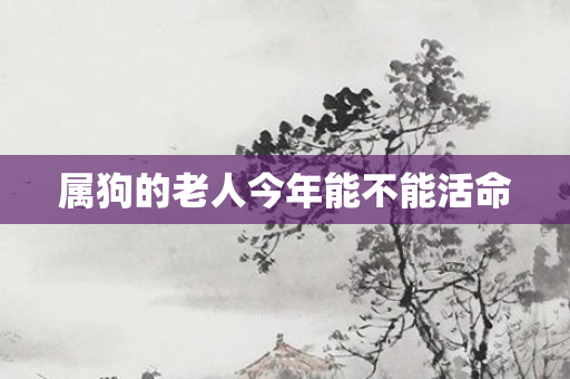 属狗的老人今年能不能活命