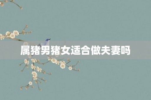 属猪男猪女适合做夫妻吗