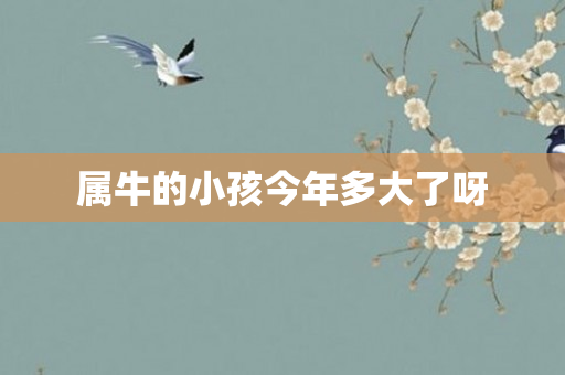 属牛的小孩今年多大了呀