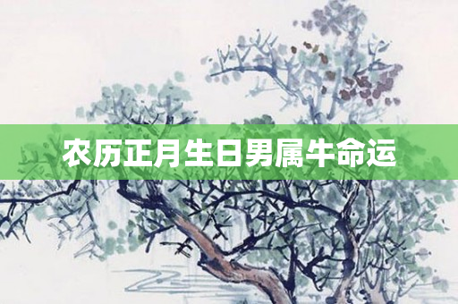 农历正月生日男属牛命运