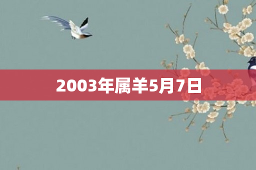 2003年属羊5月7日