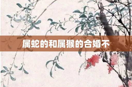 属蛇的和属猴的合婚不