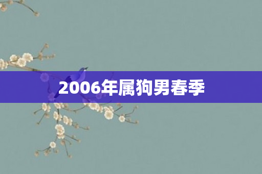 2006年属狗男春季