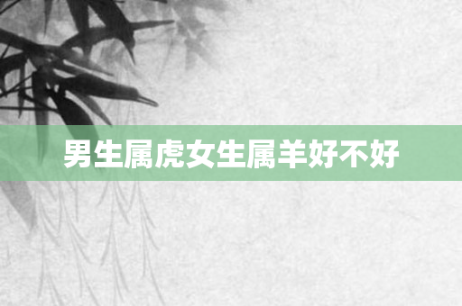 男生属虎女生属羊好不好