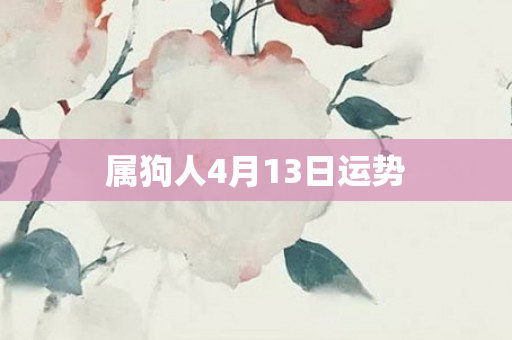 属狗人4月13日运势