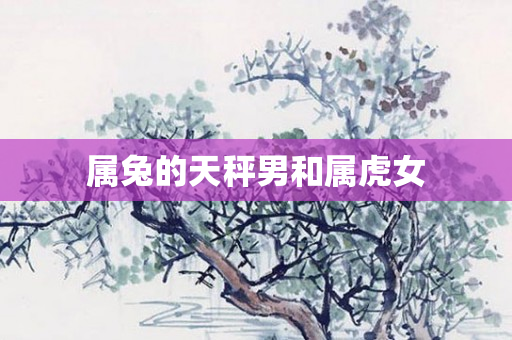 属兔的天秤男和属虎女
