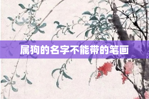 属狗的名字不能带的笔画