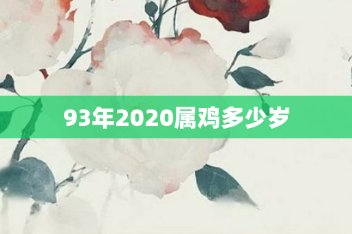 93年2020属鸡多少岁