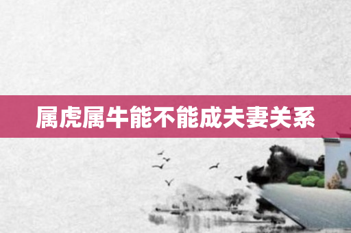 属虎属牛能不能成夫妻关系