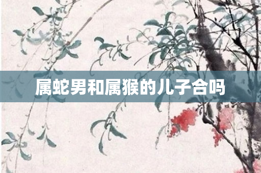 属蛇男和属猴的儿子合吗