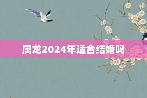 属龙2024年适合结婚吗