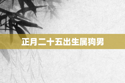 正月二十五出生属狗男