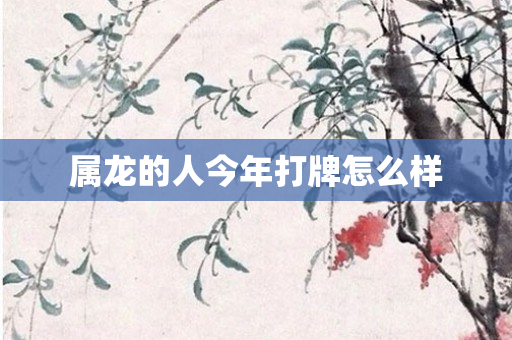 属龙的人今年打牌怎么样