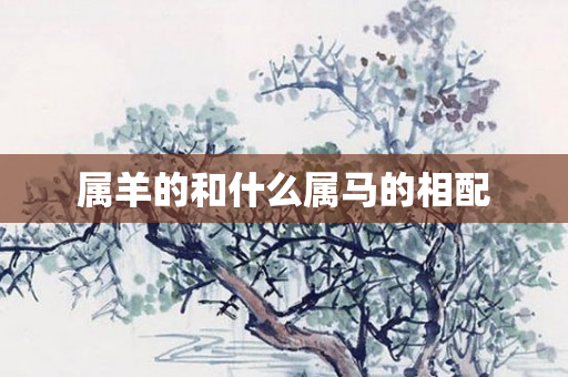 属羊的和什么属马的相配