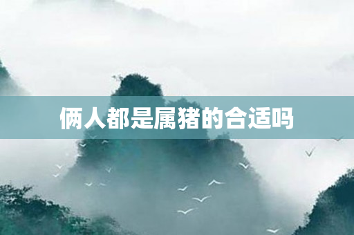 俩人都是属猪的合适吗