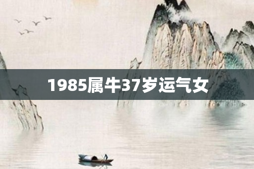 1985属牛37岁运气女