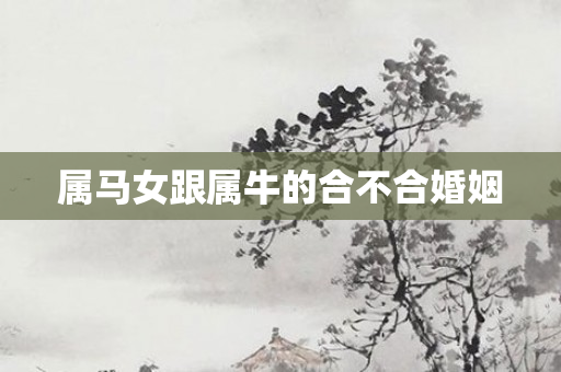 属马女跟属牛的合不合婚姻