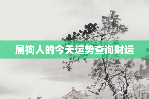 属狗人的今天运势查询财运
