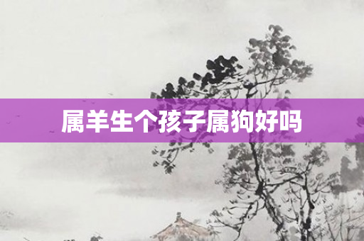 属羊生个孩子属狗好吗