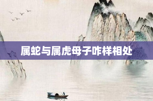 属蛇与属虎母子咋样相处