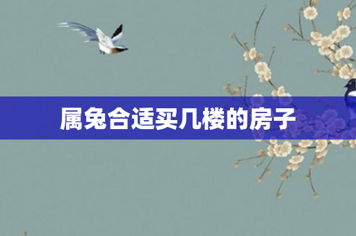 属兔合适买几楼的房子