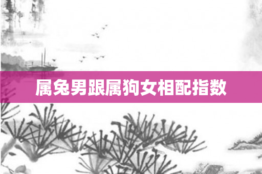 属兔男跟属狗女相配指数