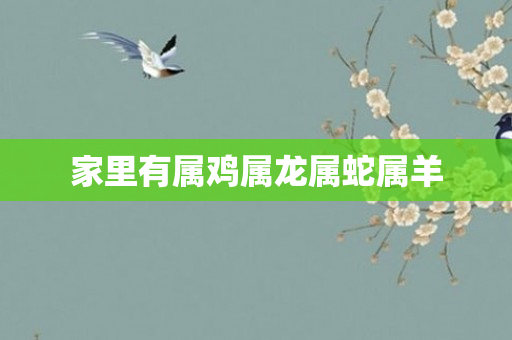 家里有属鸡属龙属蛇属羊