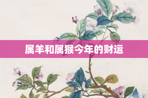 属羊和属猴今年的财运