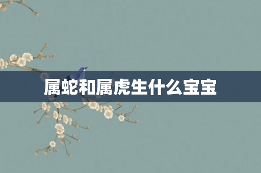 属蛇和属虎生什么宝宝