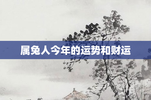属兔人今年的运势和财运