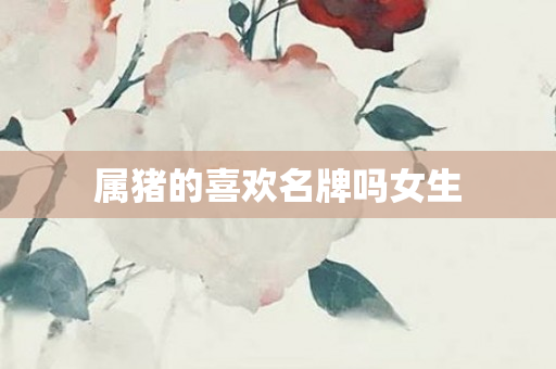 属猪的喜欢名牌吗女生