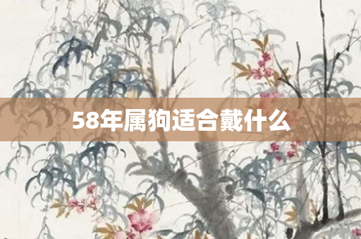 58年属狗适合戴什么