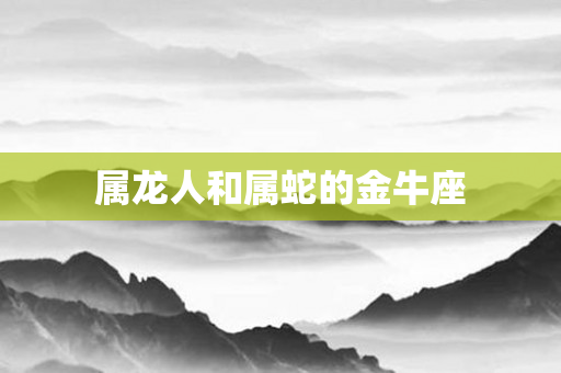 属龙人和属蛇的金牛座
