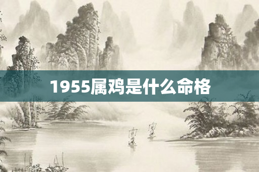 1955属鸡是什么命格